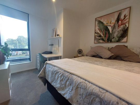 1 Bedroom mordern apartment - Handbag dog or Cat is welcome! - Photo 1