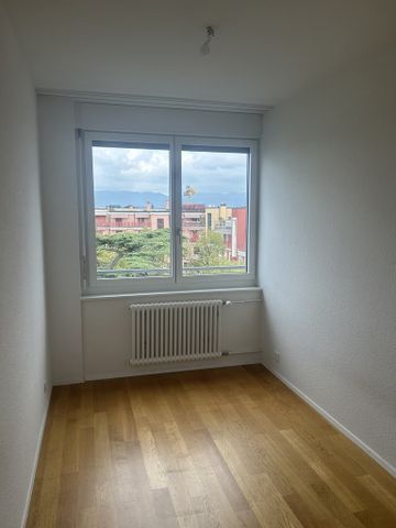 Malagnou - Champel - Appartement au 8ème étage en attique - Photo 2