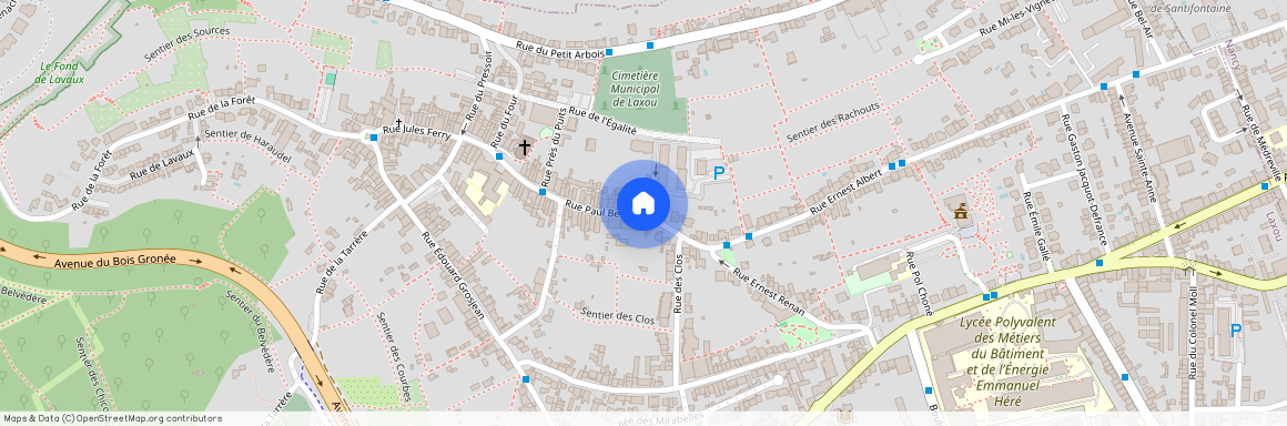 49 RUE PAUL BERT, Village Petit Arbois, Laxou