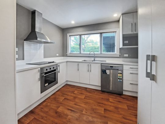 1/24 Buffon Street, Waltham Christchurch 8023 - Photo 1