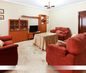 Calle Hernán Ruiz, Sevilla, Andalusia 41006 - Photo 6