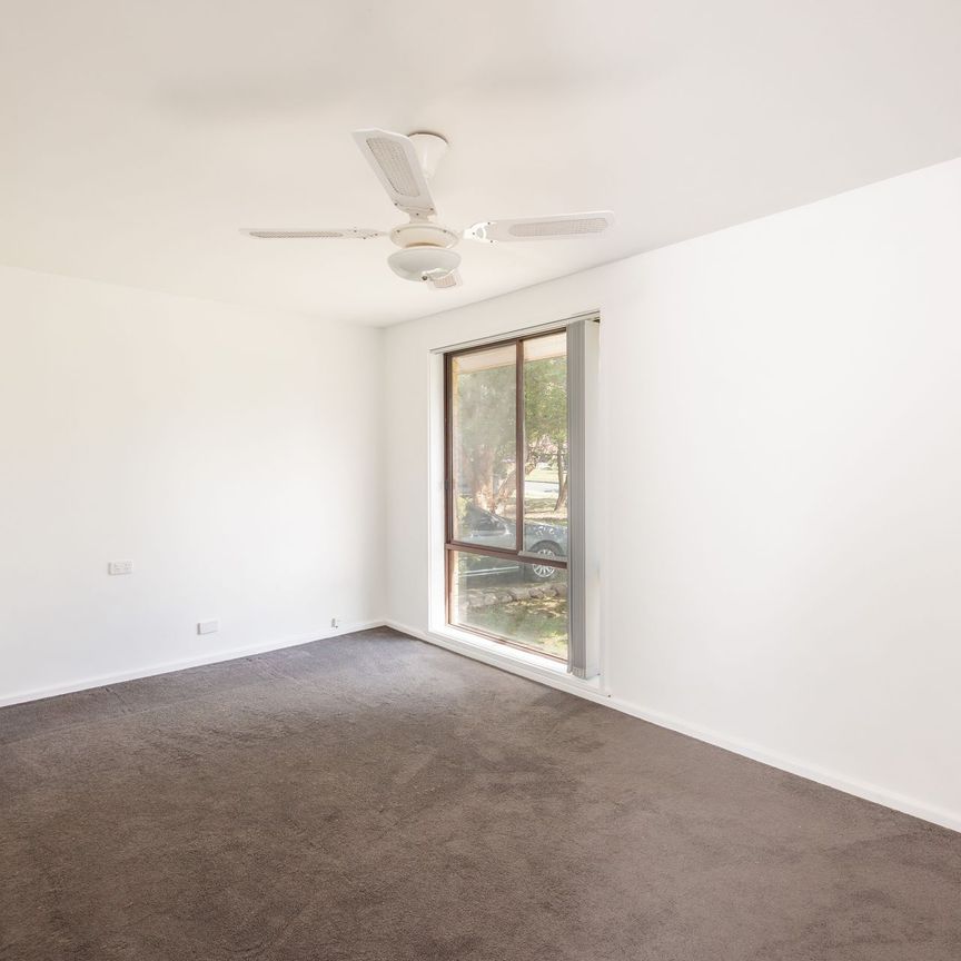 Spacious Family Living in a Prime North Albury Location - Photo 1