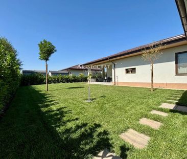 Inchirieri casa individuala Corbeanca - Photo 5