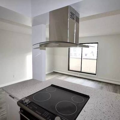 SW Calgary 1 Bedroom 1 Bathroom Apartment - Photo 4