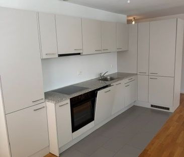 Bel appartement récent avec garantie de loyer offerte ! - Foto 2