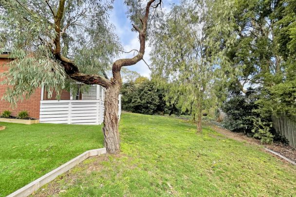 Quiet Court Location - Photo 1