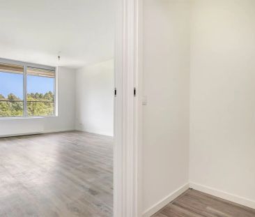 Appartement 2 pièces Sibeliuspark, Oss - À louer - Foto 2