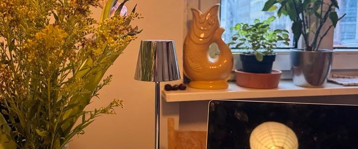 2 Zimmer zur Zwischenmiete ab Mitte Januar zentral in Mitte - Foto 1