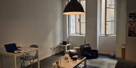 Location Appartement 1 pièce 30m² GRENOBLE 38000 - Photo 3