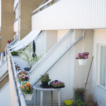 Runebergsgatan 4 - Photo 3