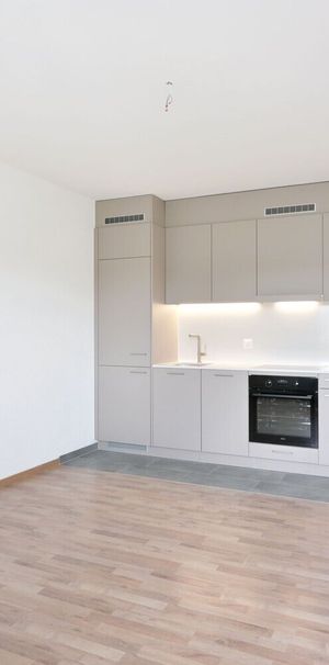 Newly renovated for you - Living wonder in Basel - Foto 1