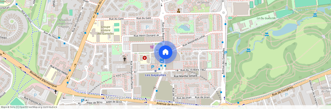 20 Rue Guy Ropartz, 35700 Rennes, France