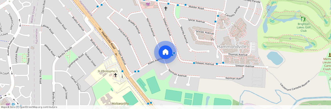 46 Norman Avenue, NSW 2170, Hammondville