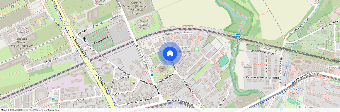 Ludwika Pasteura, Prądnik Biały Zachód, Prądnik Biały, Kraków, małopolskie