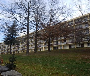 Appartement T3 à louer -secteur métare /la palle - Photo 1