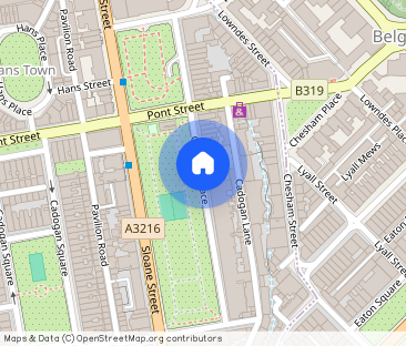 Cadogan Place, London, SW1X flat to rent - Photo 1