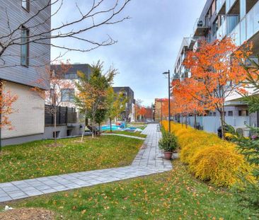Maison à étages à louer - Montréal (Rosemont/La Petite-Patrie) (Sho... - Photo 2