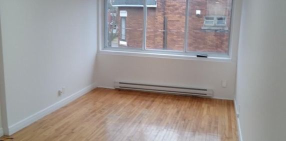 NDG Studio Apt - Photo 2