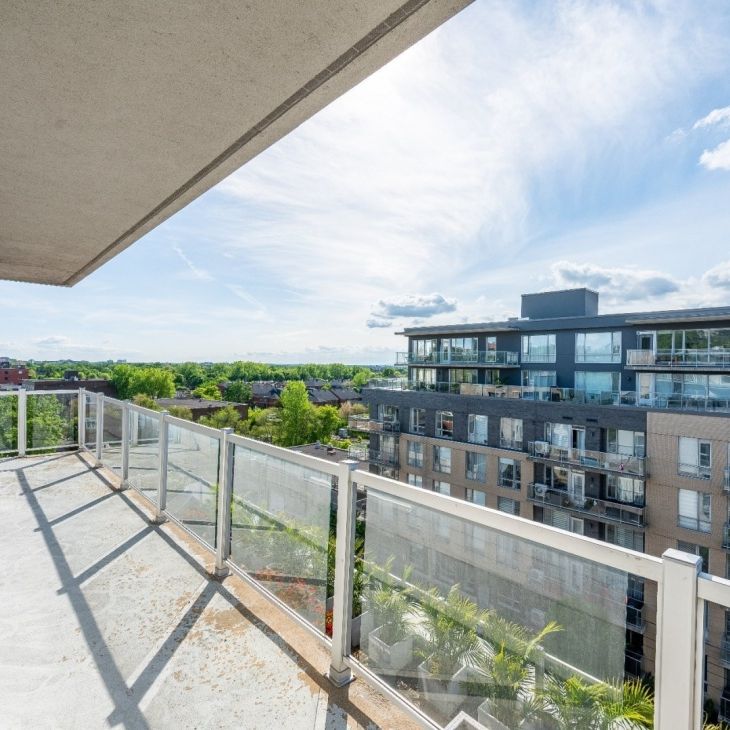 Appartement à louer - Mont-Royal - Photo 1