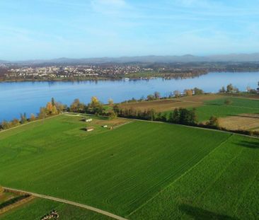 Petite oasis résidentielle près de Greifensee - calme et ensoleillé - Photo 5
