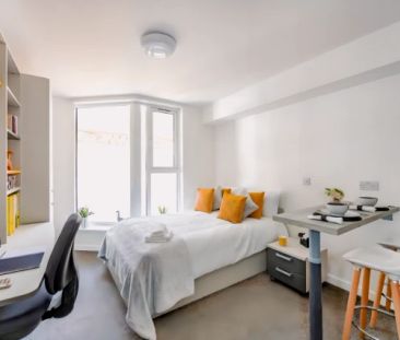 1 Bedroom, 1 Bathroom - Photo 6