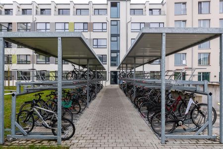 Comfort Studio 1.00.24 - Foto 3