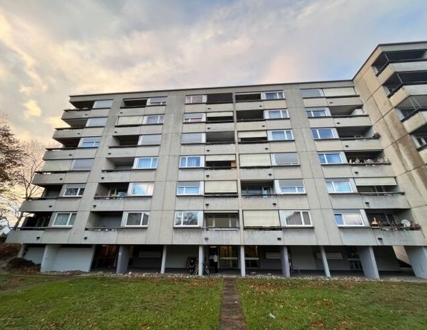 Looking for a new home - Photo 1