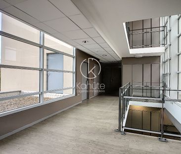 Location Appartement 1 pièce 19m² - Photo 3