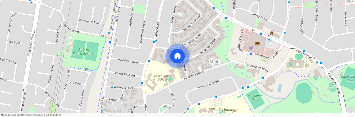 7 Wiltshire Street, NSW 2168, Miller