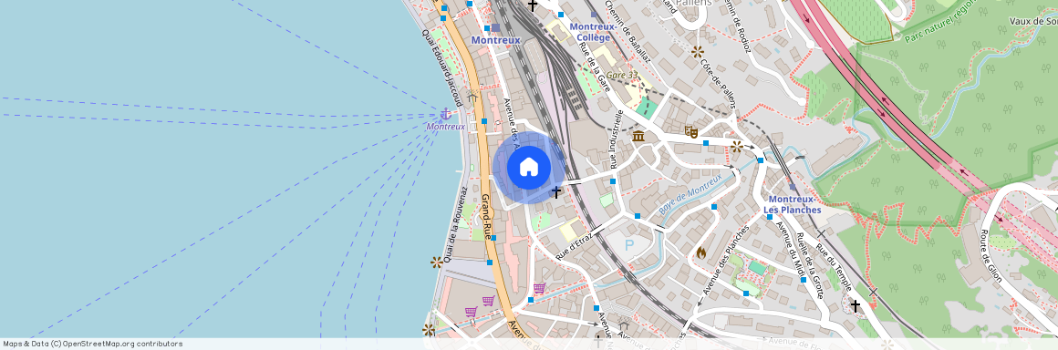 Avenue des Alpes 42, 1820 Montreux