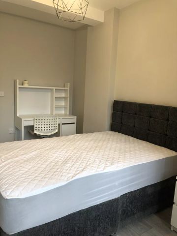 Victoria Avenue (8 bed) - Photo 5