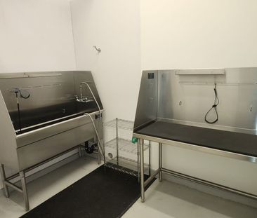 1bed 1bath Condo; Lodges – Available November – Unit 2-307 - Photo 5