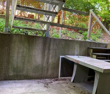 Rue St-André, H2L 3T9, Montréal - Photo 1