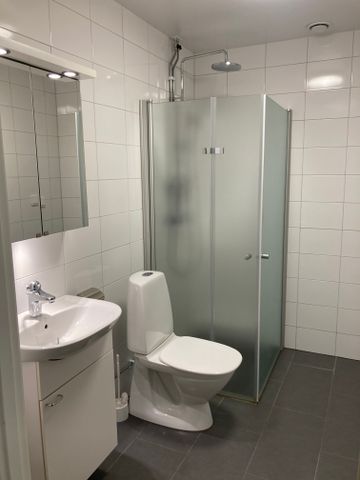 Danska Vägen 64 - Photo 5