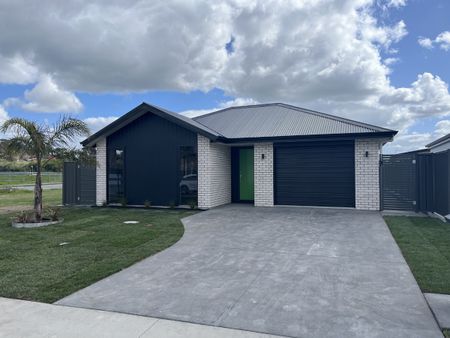 Brand New Executive Home - Photo 2