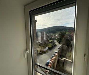 Appartement T2 à louer à Saint-Julien Molin molette - Photo 6