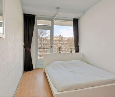 Volendamlaan 0ong, 2547 CH Den Haag, Nederland - Photo 4