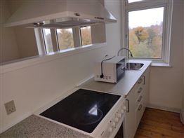 Sdr. Boulevard, Odense C, gerne bofællesskab - Photo 4