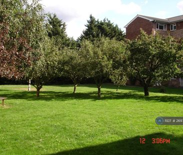 2 bedroom maisonette to rent - Photo 5