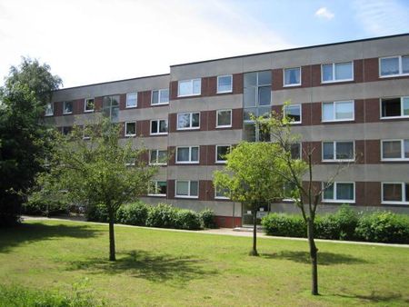 Ellerndamm 24, 25335 Elmshorn OT Nord - Photo 4