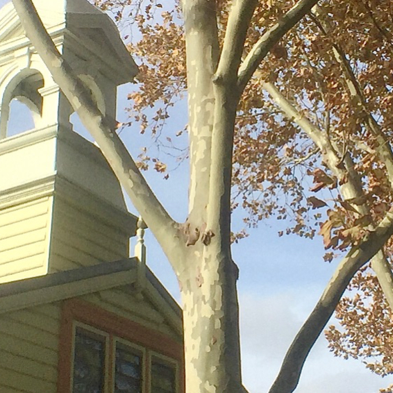 8A Coral Street, South Fremantle, WA - Photo 1