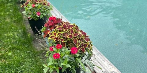 Appart De Luxe 2 Chambres - Photo 3