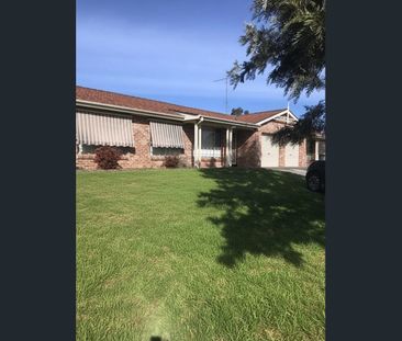 Viewings from 3 March | Light filled modern duplex in quiet location - Photo 2