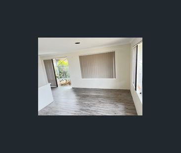 Spacious 4 x 2 Family Home in Sought-After Halls Head - Photo 1