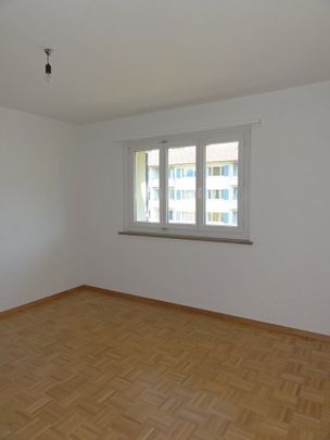 Living in the Sonnenfeld - Photo 1