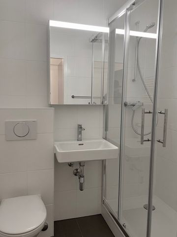 Au coeur des Eaux-Vives - Photo 3