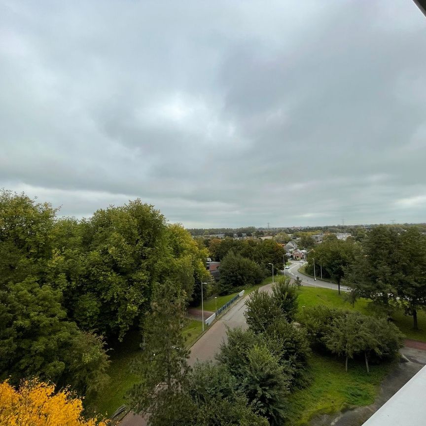 Rosmolen 59, Molenwijk, 1035CC, Amsterdam - Photo 1