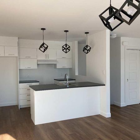 4 1/2 à louer avec espace bureau - Photo 3