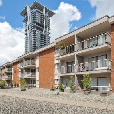 West Coquitlam | Renovated 1 Bedroom at Westview Manor - Photo 1