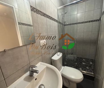 Location Appartement 1 pièce 25m² VIENNE 38200 - Photo 5